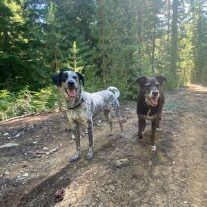 Meet your Posher, Jasmine